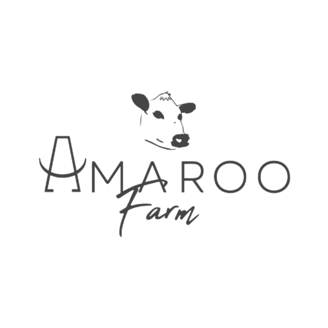 Brand Identity Package