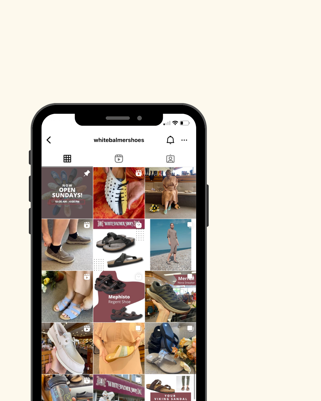 Digital Strategy and Web Experience